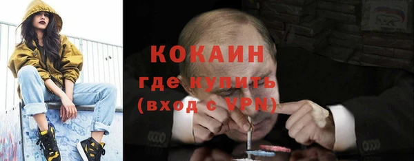 кокс Алексин