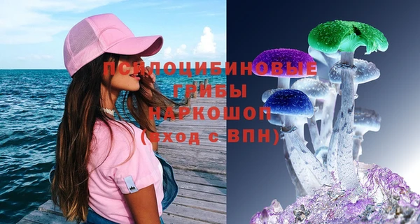 крисы Алексеевка