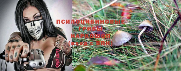 кокс Алексин
