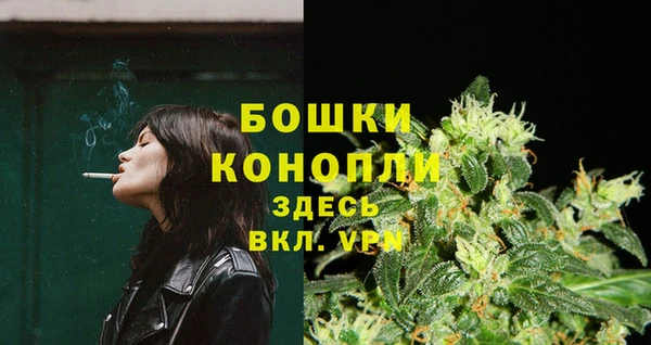 прущие грибы Пересвет