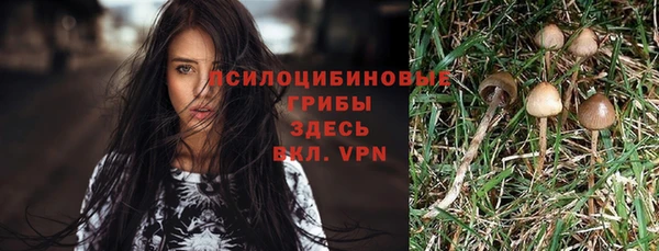 кокс Алексин
