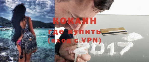 кокс Алексин