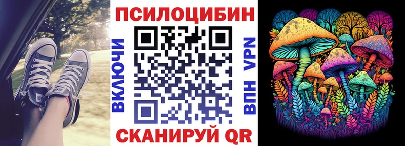 Псилоцибиновые грибы мицелий  купить   Николаевск 