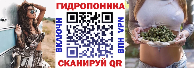 Марихуана Amnesia  Николаевск 